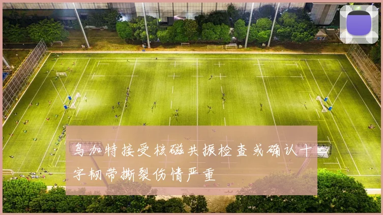 乌加特接受核磁共振检查或确认十字韧带撕裂伤情严重